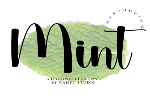 Mint: A Playful Script Font for Branding That Delivers Character