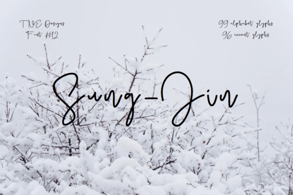 Sung-jin: A Script Font with Measured Charm